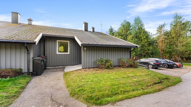 Velkommen til visning!