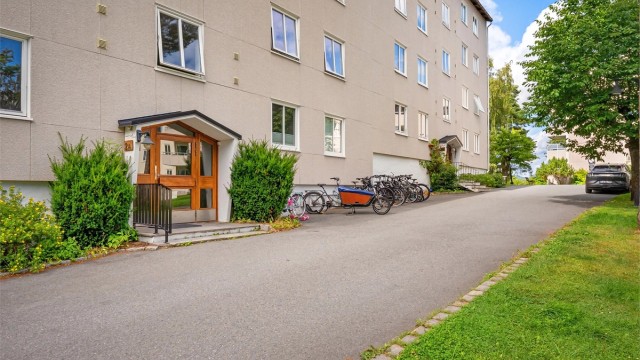 Fellesarealene er opparbeidet med asfalterte internveier og plenarealer.