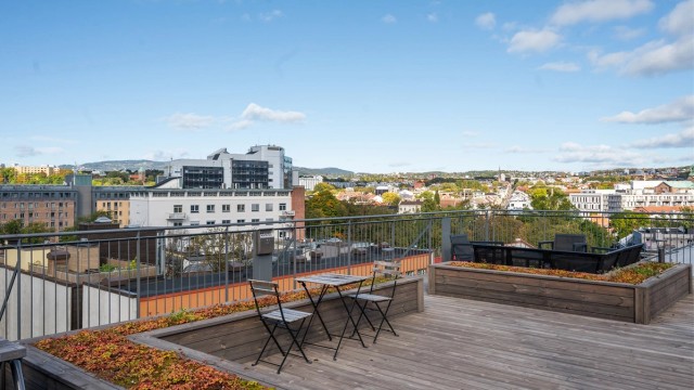 Takterrassen er innredet med diverse beplantning, og har rikelig med sitteplasser.