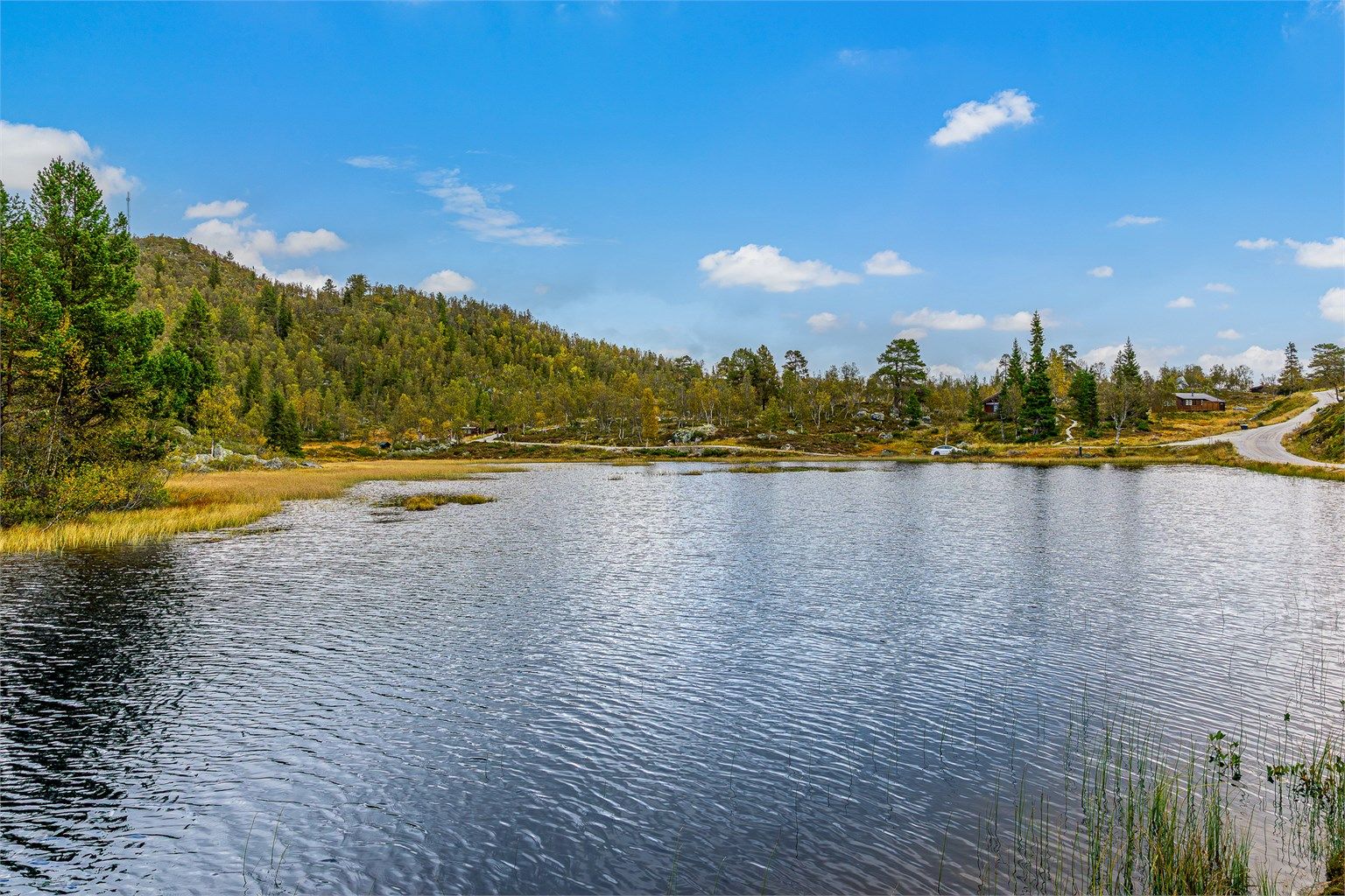 "UPPÅ HAUKELI"
