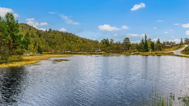"UPPÅ HAUKELI"