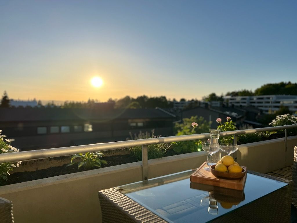 Eiers private bilde. Fra terrassen er det flott utsikt og fantastiske solnedganger. Utsikt til Kolsåstoppen og noe sjøgløtt.