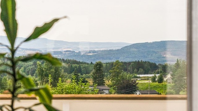 Utsikt