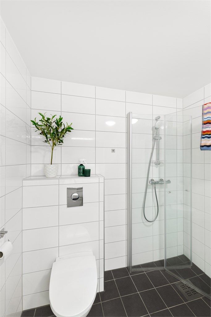 Vegghengt toalett samt dusjhjørne med foldbare glassvegger og vegghendt dusjarmatur