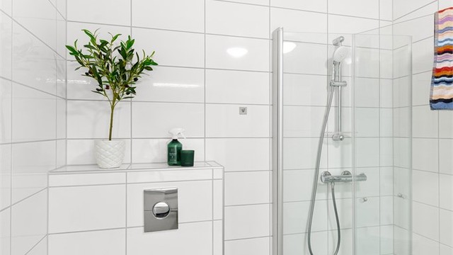 Vegghengt toalett samt dusjhjørne med foldbare glassvegger og vegghendt dusjarmatur