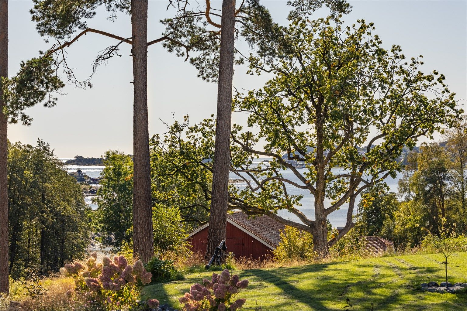 Fra eiendommen er det glimt av sjøen gjennom trærne.