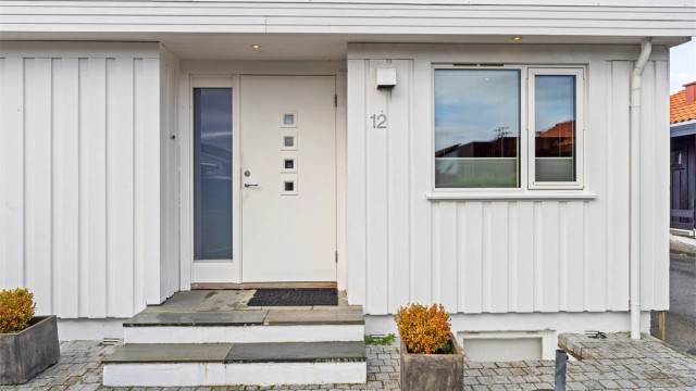 Inngangsparti med trapp i betong og skifer