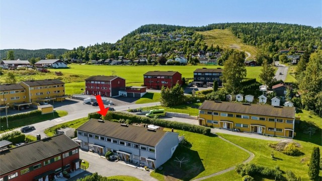 Sommerbilde av området