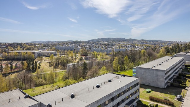 I nærområdet finner du et bredt utvalg av skoler, barnehager og servicetilbud, som Stovner Senter 11 minutter unna.