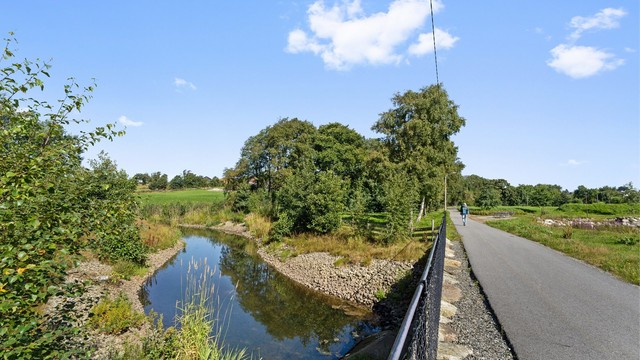 Område bilde