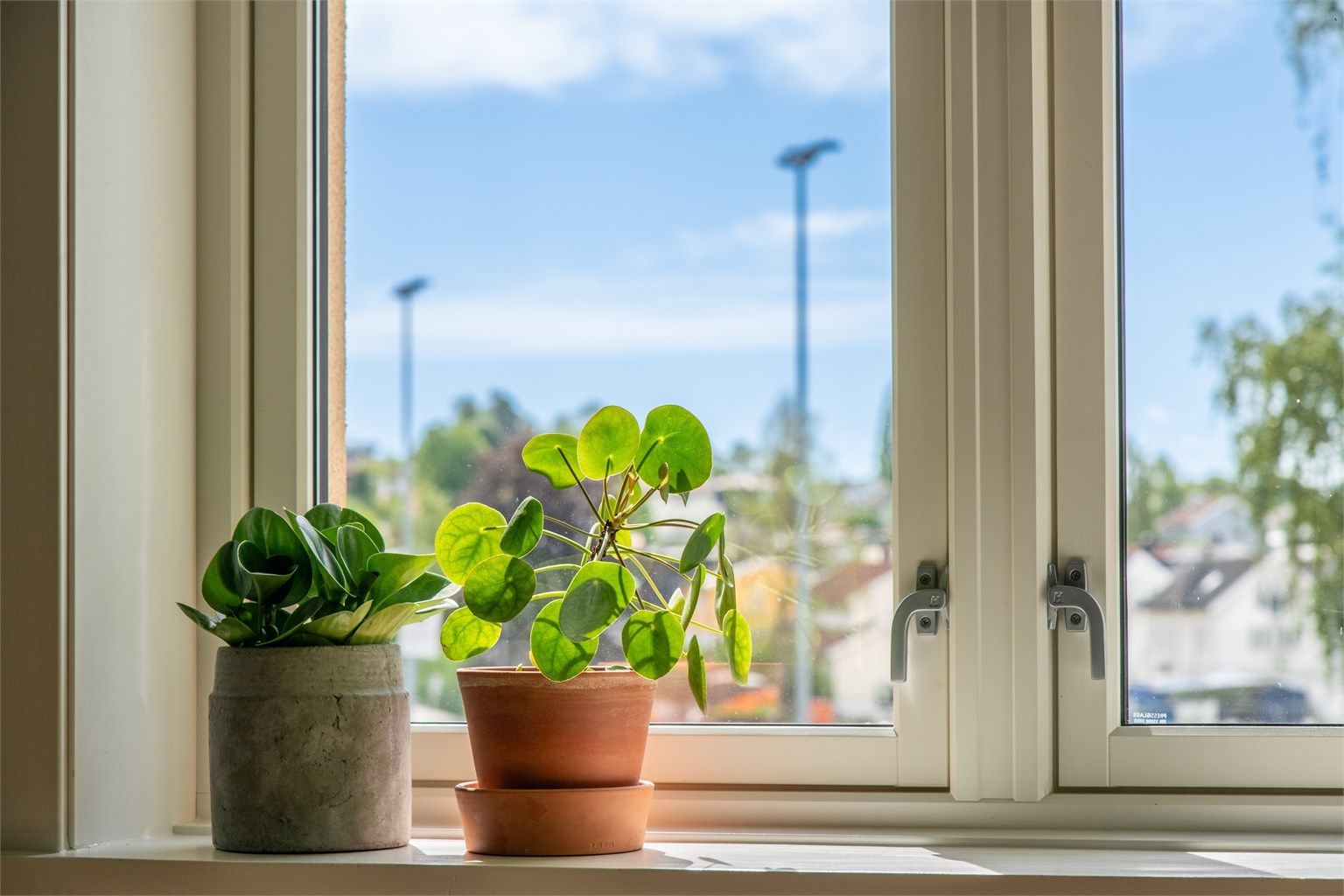 Vinduskarmer i leiligheten er noe dype og har således plass til potter mm.