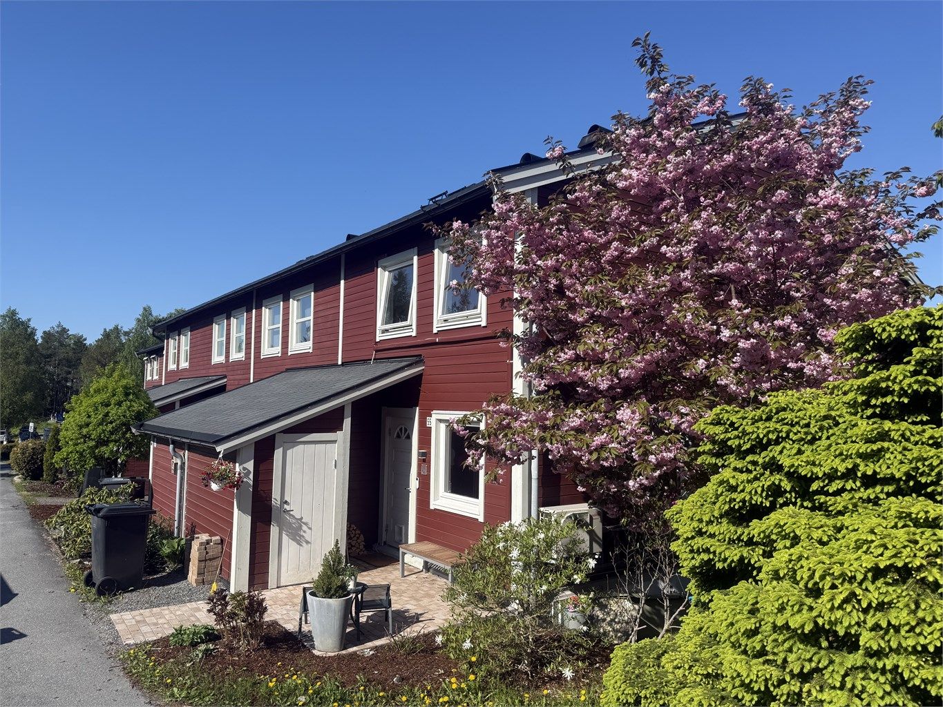 Pent opparbeidet tomt med diverse beplantninger