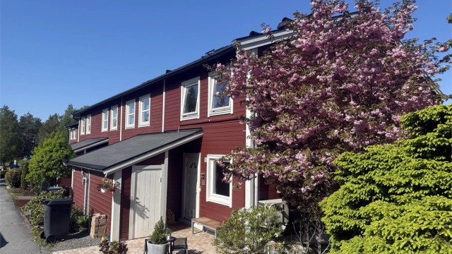 Pent opparbeidet tomt med diverse beplantninger