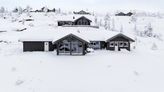 Krogsveen v/Vindum ønsker velkommen til Vrådal Panorama og Orrevegen 22!