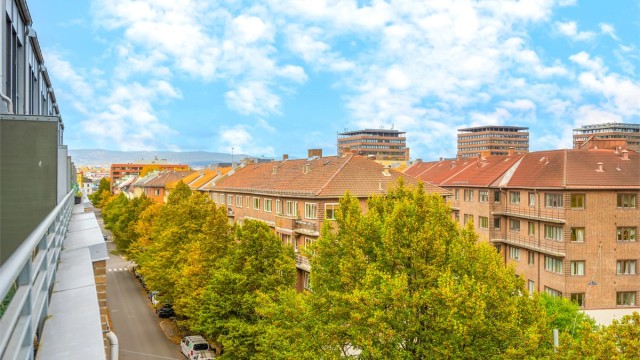 Utsikt langs Jens Bjelkes gate og de omkringliggende kvartalene.