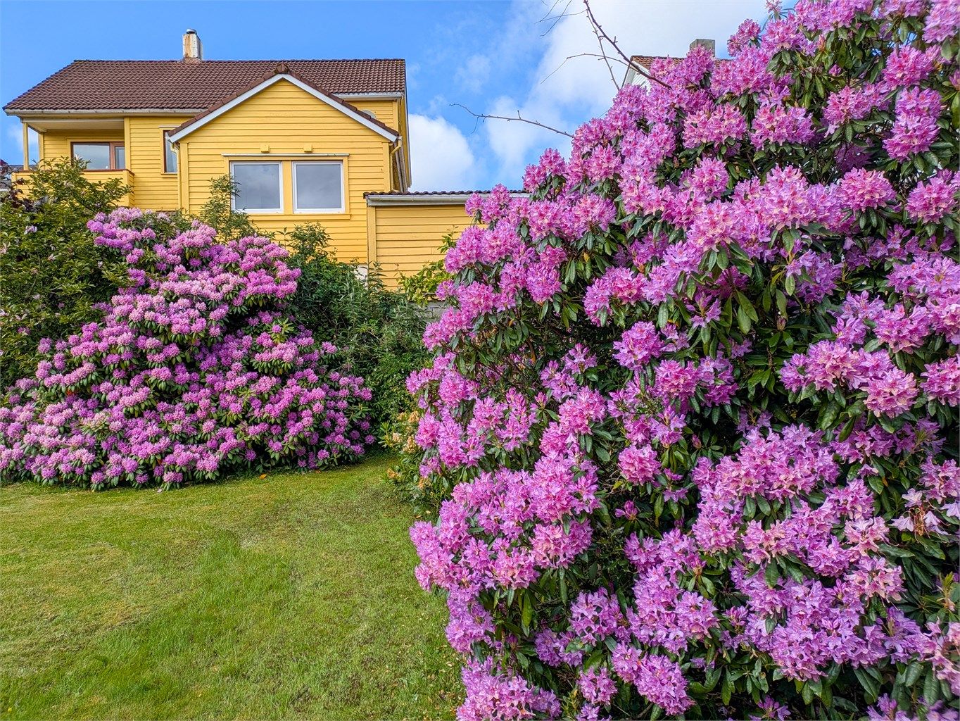 Hagen er en grønn oase sentralt på Våland.