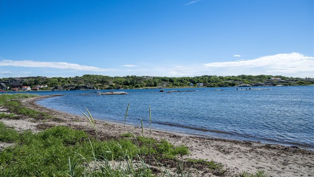 Her vil en vannsport-interessert familie trives.