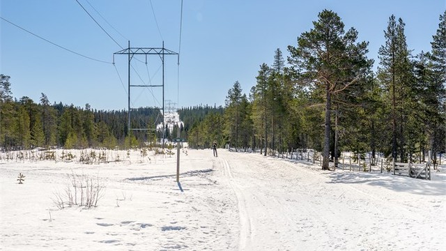 Flotte skiløyper i umiddelbar nærhet.