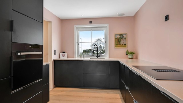 Det er integrerte hvitevarer som kjøl/fryseskap, oppvaskmaskin, induksjonstopp med ventilator og stekeovn. Ventilatoren er integrert i platetoppen og har kullfilter