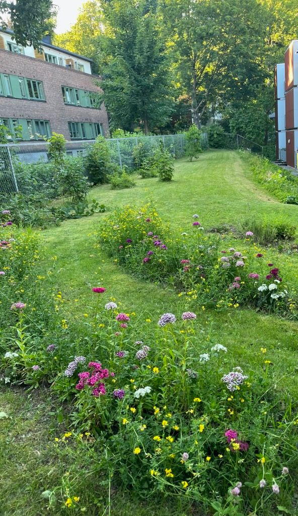 Bilde tatt av selger