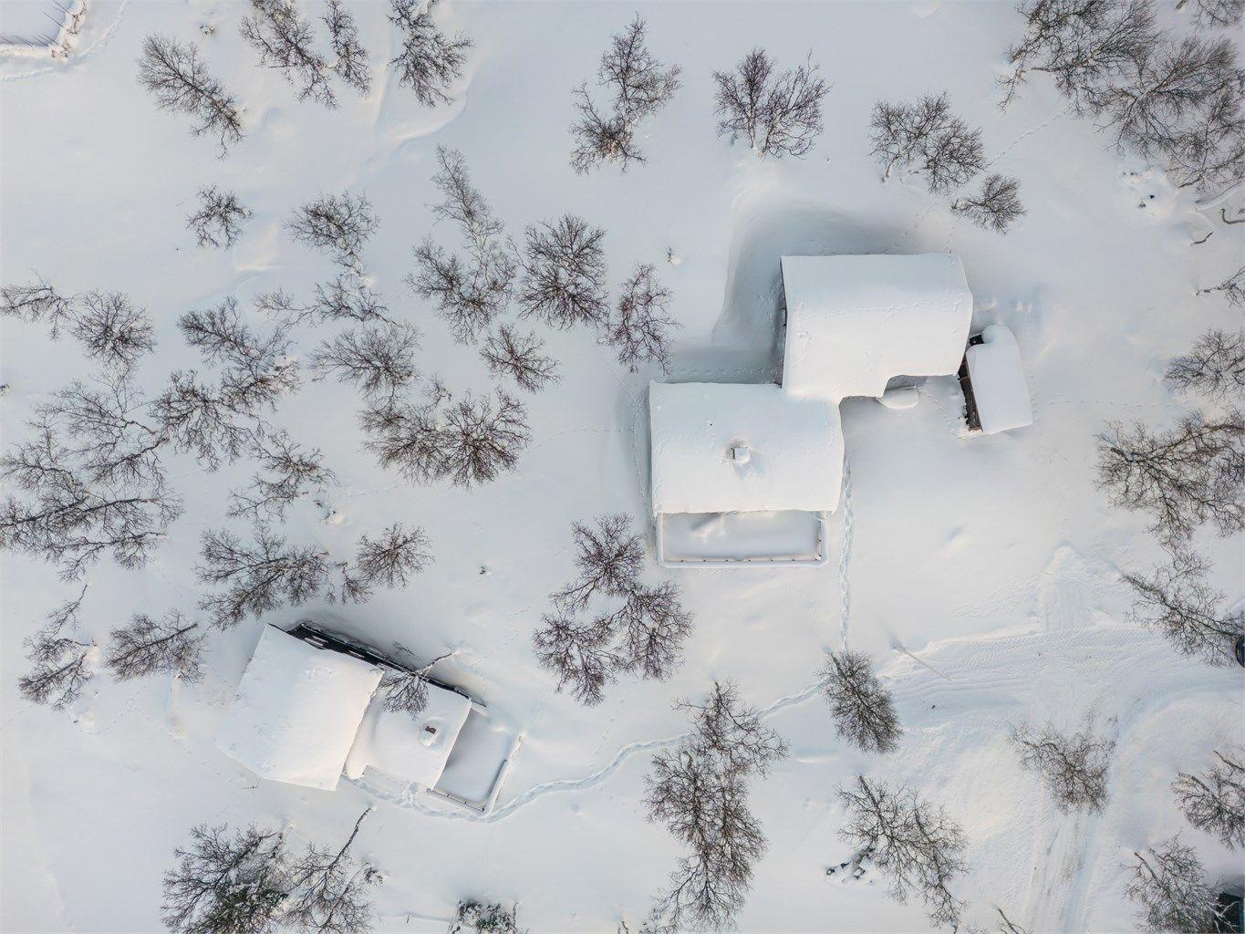 Eiendommen i fugleperspektiv. 