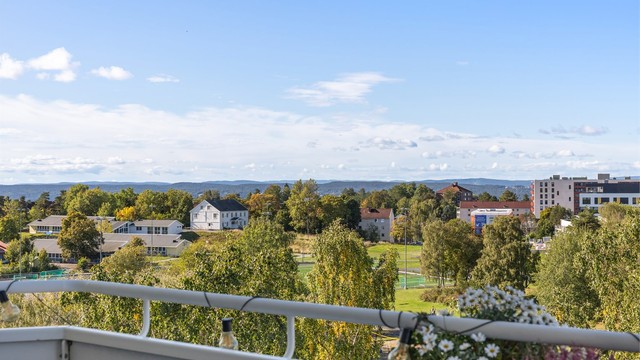 Vidstrakt utsyn over grønne nærområder og åsene omkring.