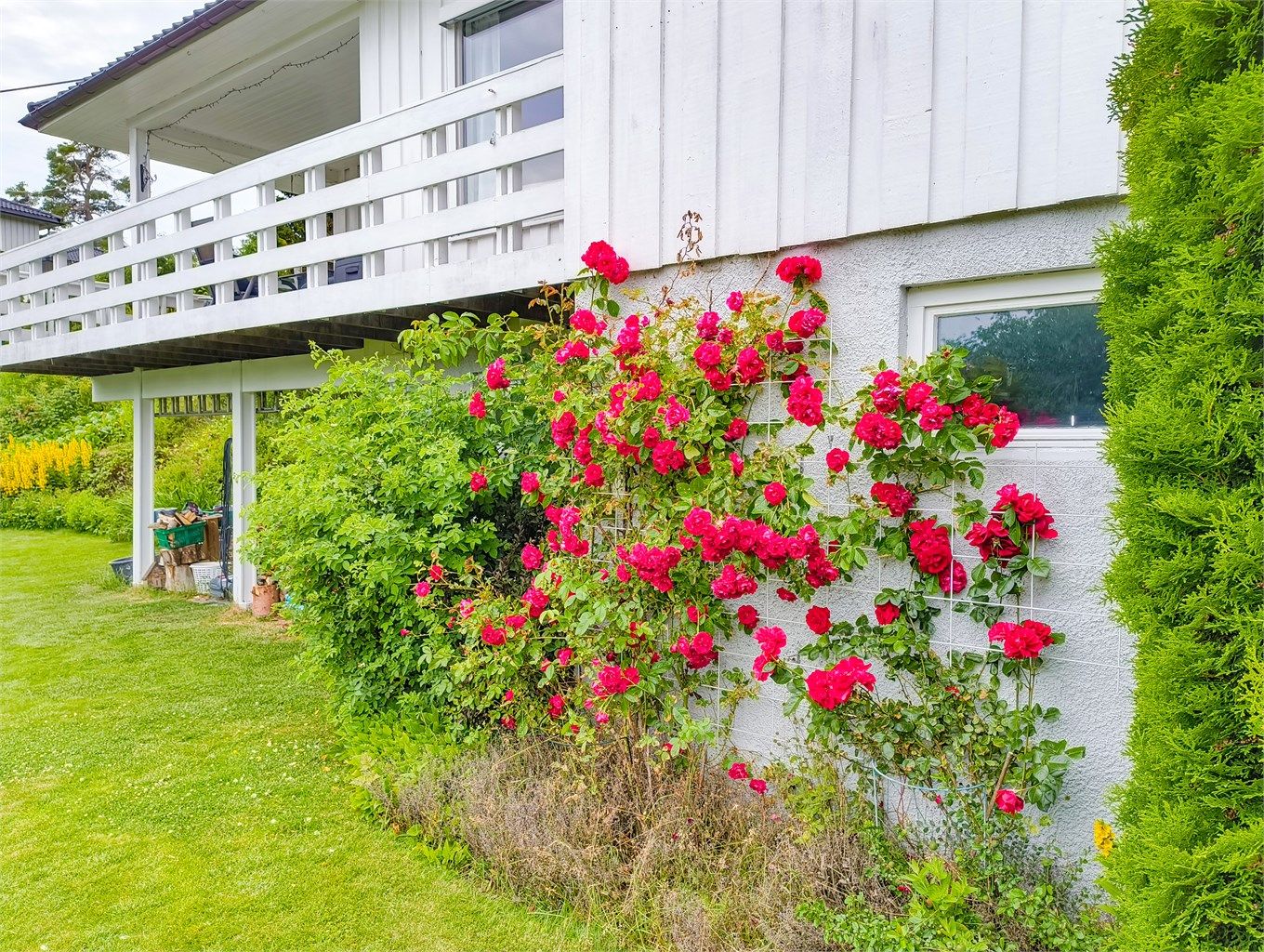 Selgers private bilde