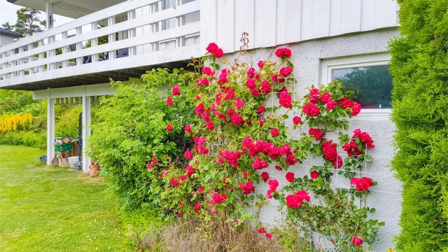 Selgers private bilde