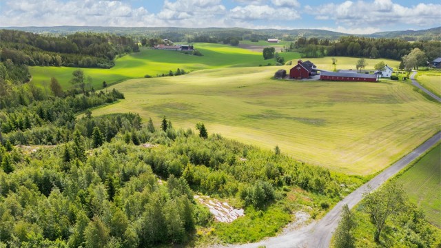 Velkommen til "Tomt Dæhli"