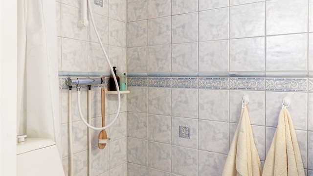 Bad med wc, dusj og servant i seksjon.
