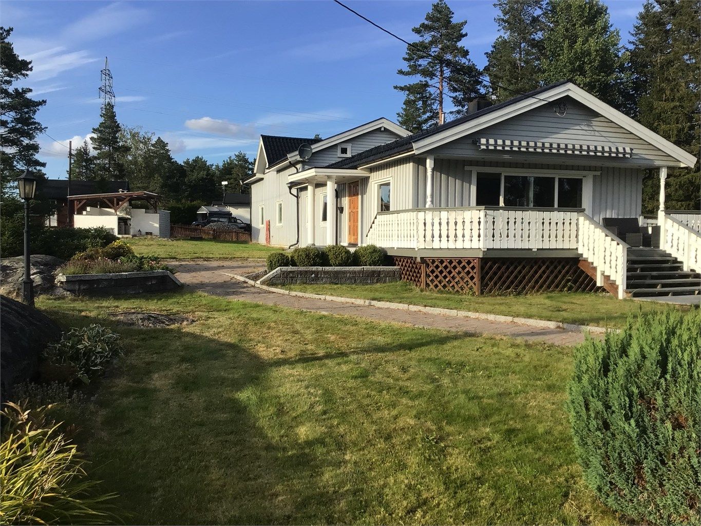 Selger sitt bilde fra sommeren 