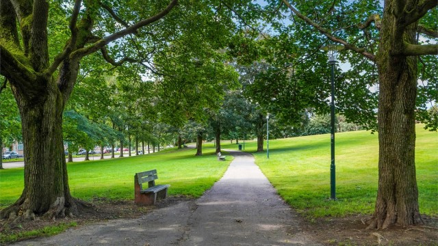 Leiligheten ligger helt inntil Torshovparken. Parken
er en stor park midt i byen med fin utsikt og har mye
sol. I tillegg er det kort vei til Akerselva og Torshovdalen