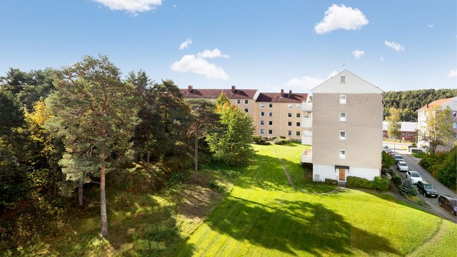 Rolige omgivelser med grønne plener og naturlig vegetasjon rundt blokkene.