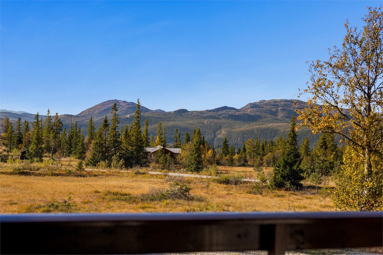 Om sommeren kan man bade og fiske i nærliggende fjellvann.