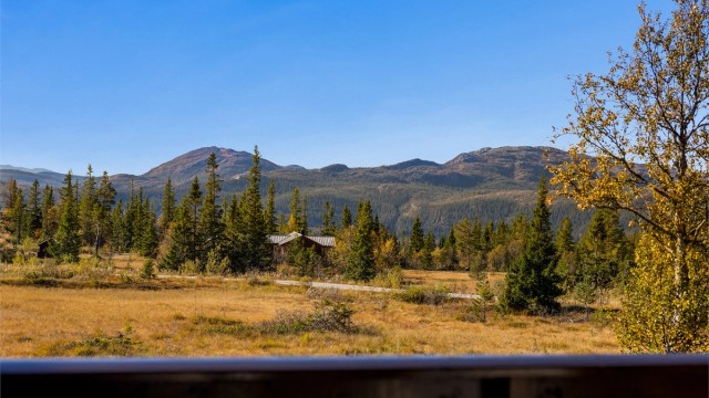 Om sommeren kan man bade og fiske i nærliggende fjellvann.