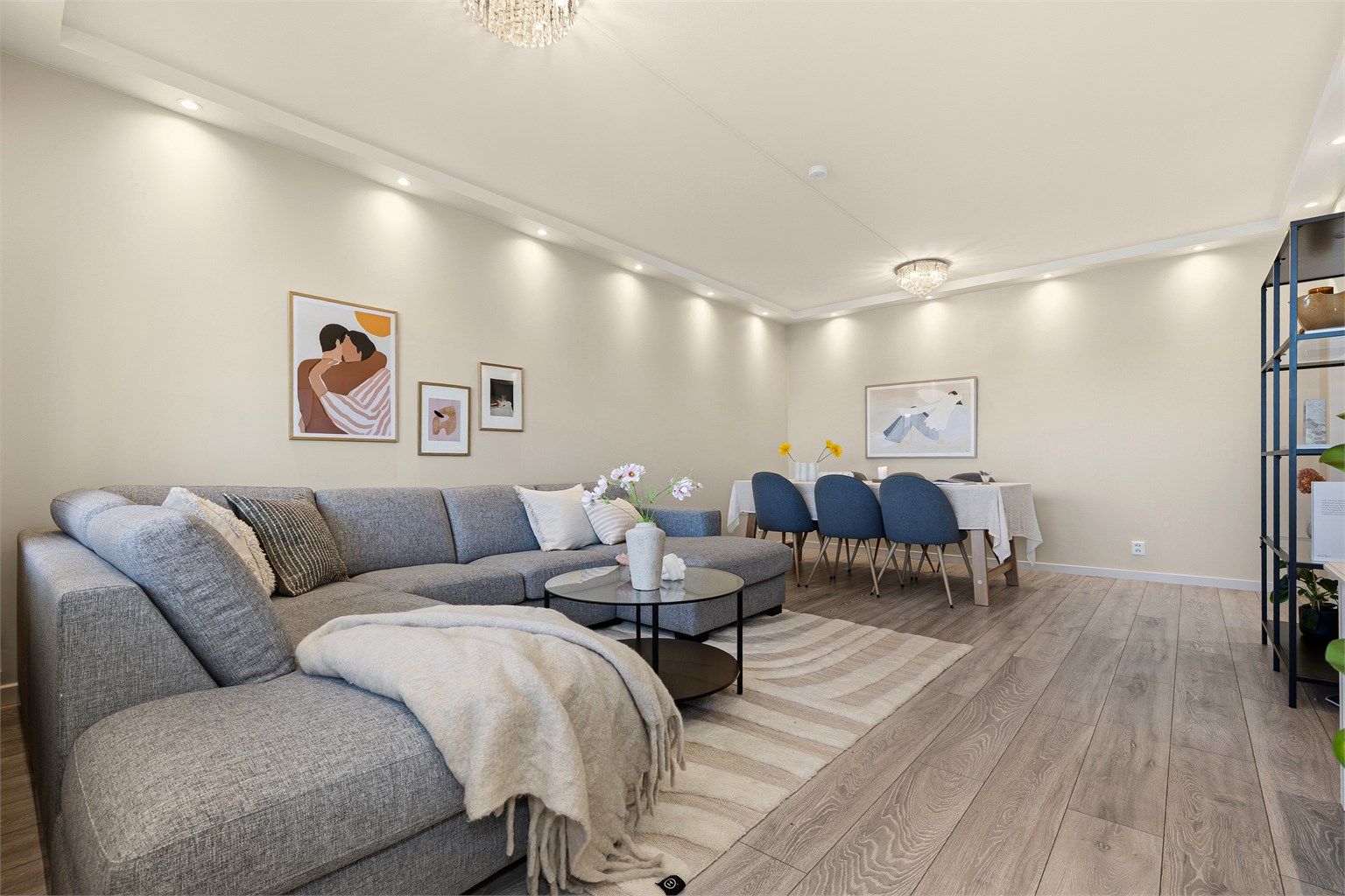 Det er naturlige soner for sittegruppen i stue, og for spisebord.