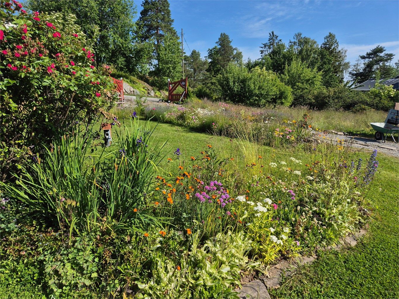 Sommeridyll (privat foto)