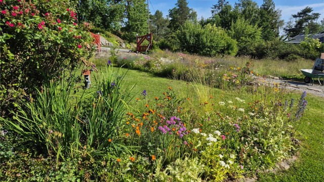 Sommeridyll (privat foto)