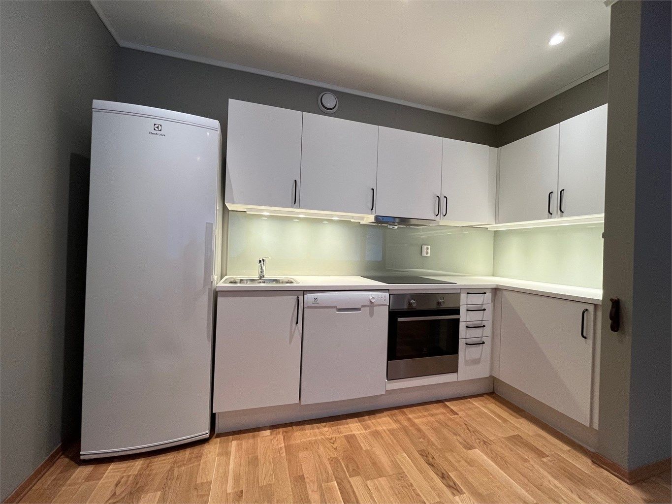 Kjøkken med kjøleskap, oppvaskmaskin, og komfyr m platetopp. 