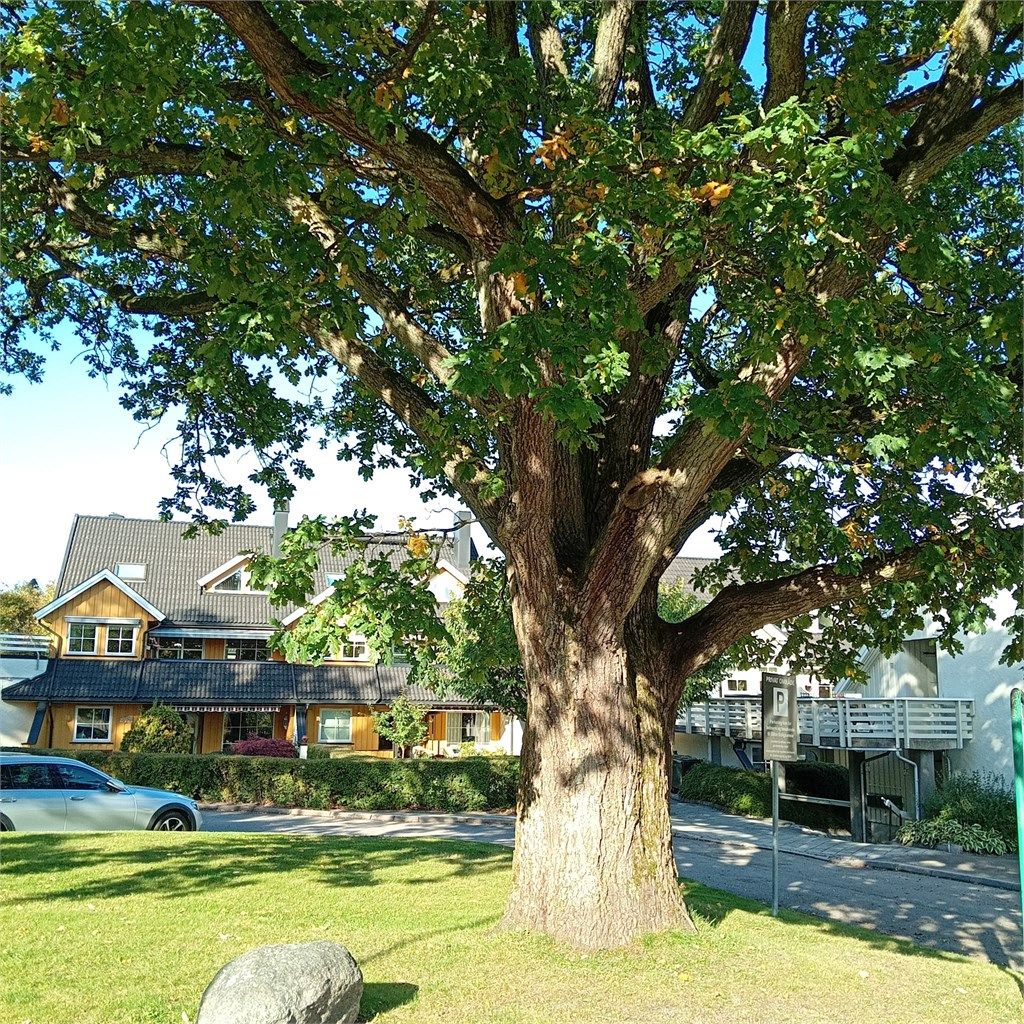 Parkeringsplass for sameie. Her har man en unik mulighet til å parkere "rett ved terrasse inngangen". Beliggende praktisk til på bakkeplan med enkel adkomst. (selgers bilde)