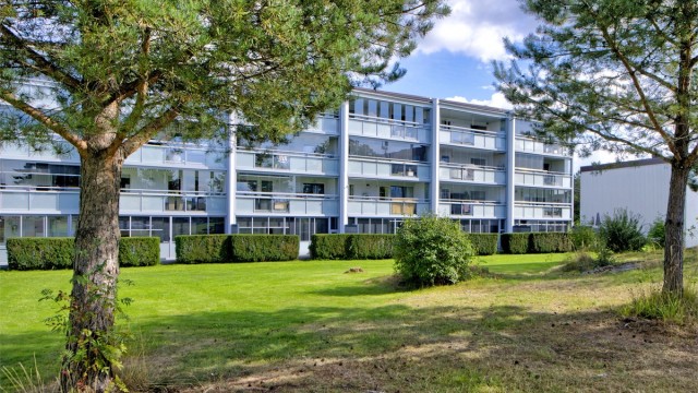 Fasade - fellesområdene er pent opparbeidet med blant annet stor gressplen og diverse beplanting