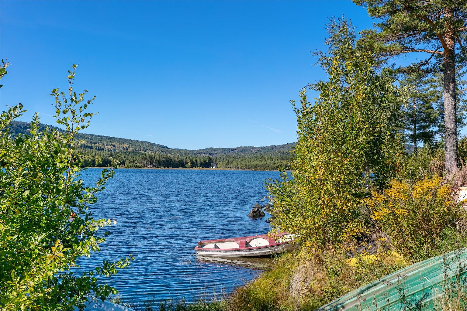 Harestuvannet