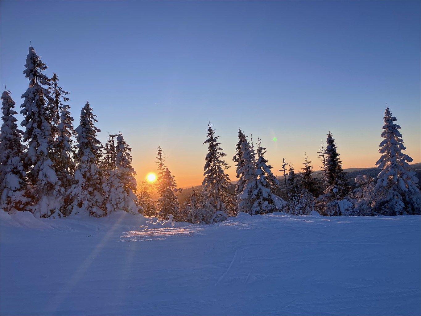 Selgers private bilder - vinter 2026 Bilde fra Varingskollen