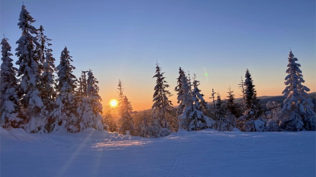 Selgers private bilder - vinter 2026 Bilde fra Varingskollen