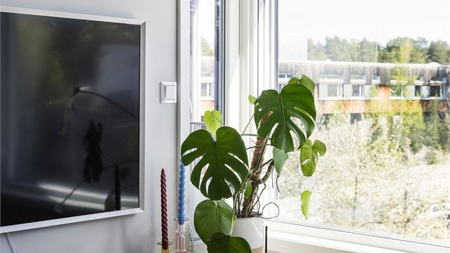 Flott lysinnslipp fra to vinkler! Hjørnevinduet gir rommet en følelse av luftighet og lys, med solstråler som strømmer inn fra to retninger.