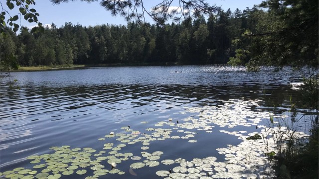 Selgers bilde av badeplass i nærområdet.