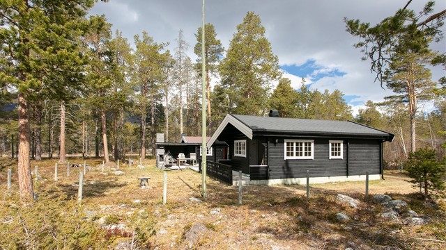 Eiendommen ligger på en stor naturtomt omgitt av furuskog.