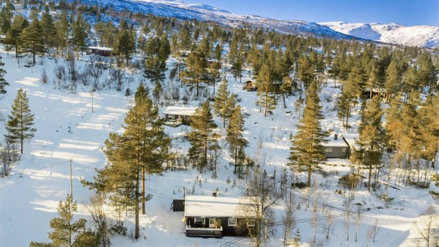 - Velkommen til Ørnefjell Hyttegrend 42 -