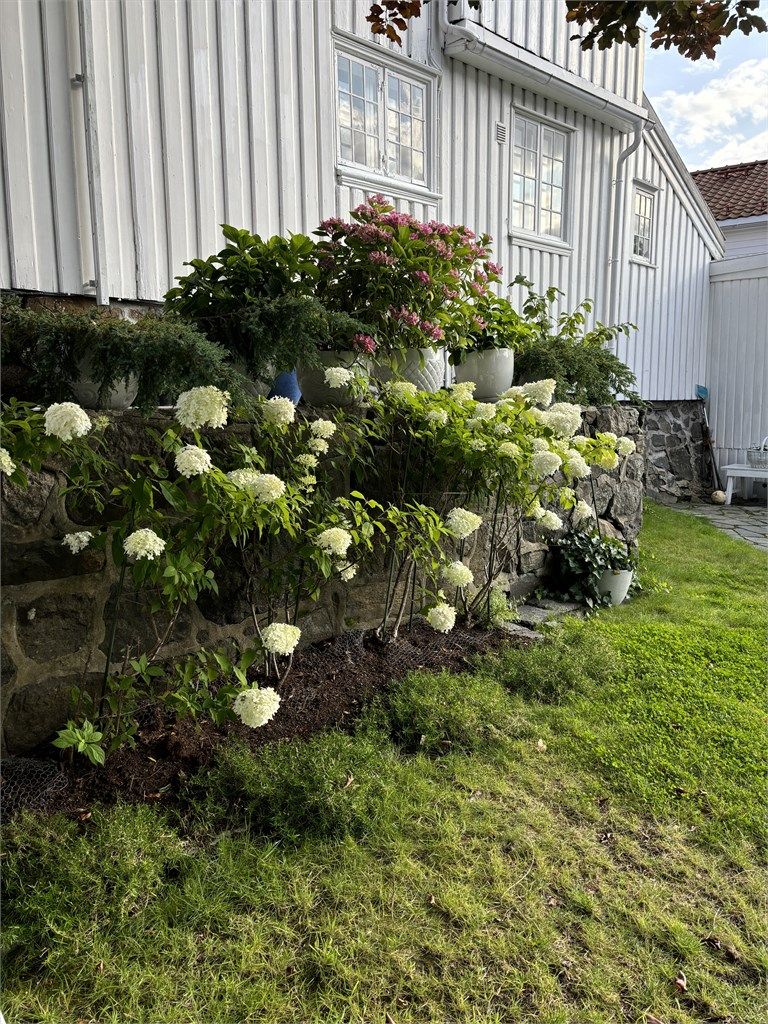 Forstøtningsmurer i naturstein rammer inn hagen og skaper hyggelige nivåer.