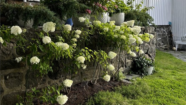 Forstøtningsmurer i naturstein rammer inn hagen og skaper hyggelige nivåer.